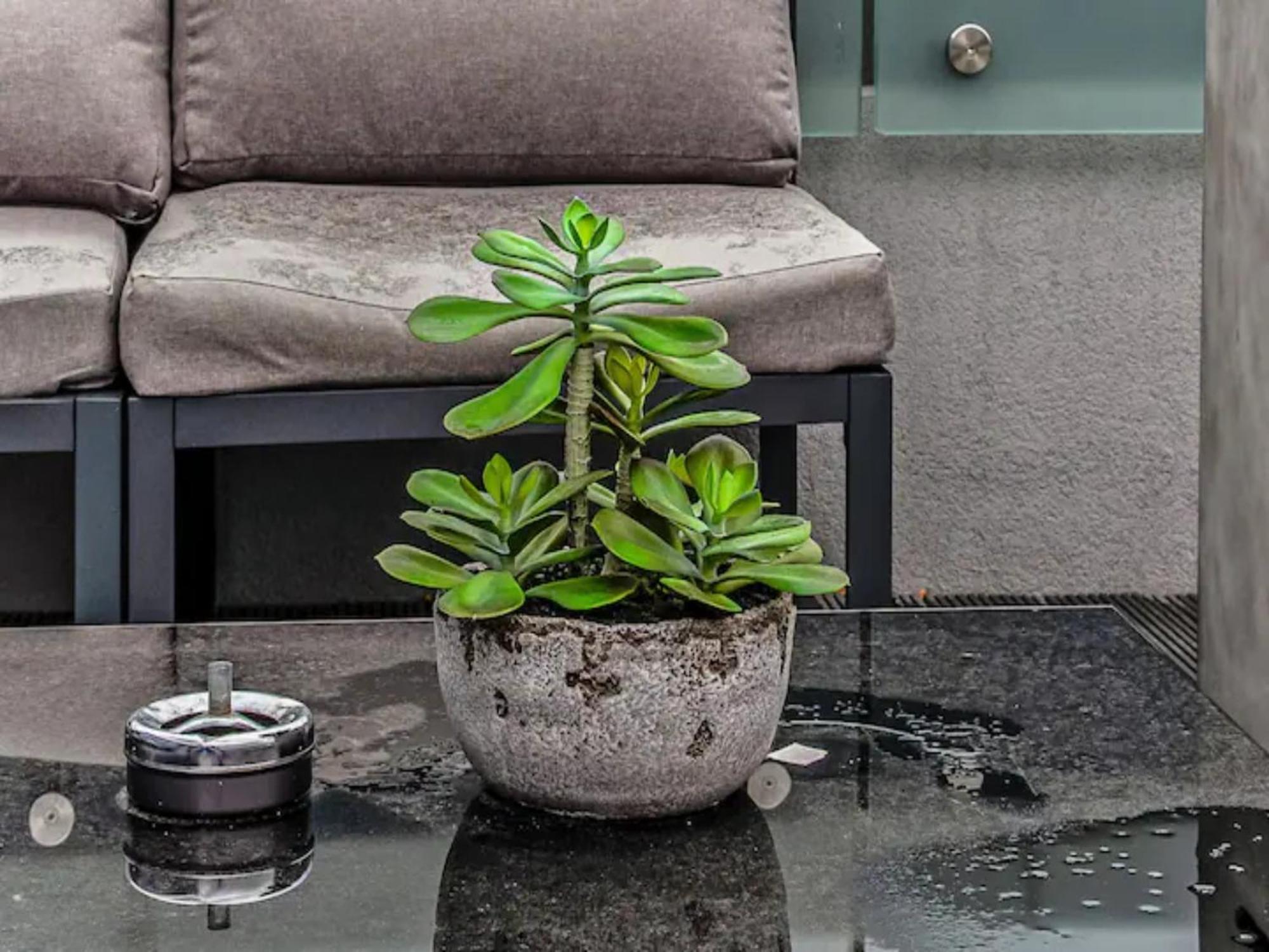Ferienwohnung Pass The Keys Penthouse Oasis In Trendy Fulham London Exterior foto